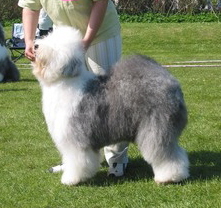 UCAOWZVHQCA6UMRHLCA5M4UVOCAQK3YY1CA57714DCASXBTHLCAXH6FZTCA6UESEECAJKEPADCA6MJRNACAF76T1ACAOC7PYHCAMRLTXNCALQ3T3XCA0O1FMTCABQMZ3QCAPSPXBPCAKO3LXG UCAOWZVHQCA6UMRHLCA5M4UVOCAQK3YY1CA57714DCASXBTHLCAXH6FZTCA6UESEECAJKEPADCA6MJRNACAF76T1ACAOC7PYHCAMRLTXNCALQ3T3XCA0O1FMTCABQMZ3QCAPSPXBPCAKO3LXG