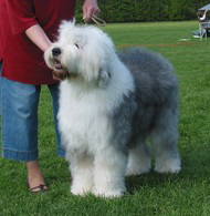 VCAP7IAZSCA3N4T8SCAJU04OICACM3W0RCA5583GMCAFRKOM6CA7STS7CCATNQC5HCAK7HZGECAABDICHCAB4FN4DCA1WX8BGCA4YFJXKCA9BR7JDCALPFPF0CAZ903Z9CA9S21Y0CA7KQEYE