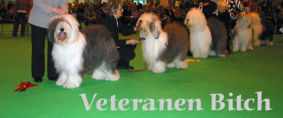 Veteranenbitch Veteranenbitch