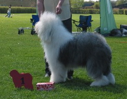 WCA2P74YKCAMWJF8ICA18DDY0CA2K5315CAZDLJ3VCA2ZPH43CAUB7D3ECA9GAQSKCAVNVOOSCAQSZA2QCA4PZY50CA0WWYJKCACFZX6VCAZNZW8GCA724W57CAN08RVJCADO27ZLCAC9VEJP