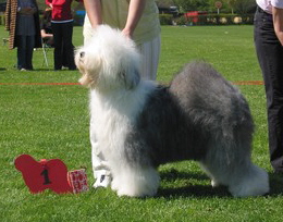 XCA6G8ERRCA8B4MSKCAD6Q1ASCA5YJXUUCAIWX2U2CAZ8Z58YCAOVEZ1NCARS7EZUCA9LHXR7CA9NPDFFCAU5HJX2CAA47T3ZCACLF7SLCAQ4QR51CAVCEVCSCA1JD0K3CA39UCWHCA7W8K6H