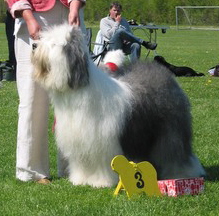 XCAUVBKS2CA6G523JCAS8V5VSCA3INS63CASAG595CAX8OLWACA67SHX9CA0KABJTCANIF2VTCA2OD9UTCAWVO1JFCAHZ6PCSCAGJYA18CAUZKZA3CAFNSVX4CA86YSEXCAIKVYINCALW3191