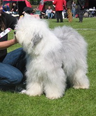 YCA89Q6FNCA8FRR54CAXSWHATCAUA8NFDCASWS8CICA1UAYZZCAO1MFMZCA561S7DCAL53GSMCA9R0CHACAE9F1L7CA7DXKYVCAADNQWJCA8YODXGCAI8FAQJCAU6QJ4VCANEGKQKCAHOZVQ0 YCA89Q6FNCA8FRR54CAXSWHATCAUA8NFDCASWS8CICA1UAYZZCAO1MFMZCA561S7DCAL53GSMCA9R0CHACAE9F1L7CA7DXKYVCAADNQWJCA8YODXGCAI8FAQJCAU6QJ4VCANEGKQKCAHOZVQ0