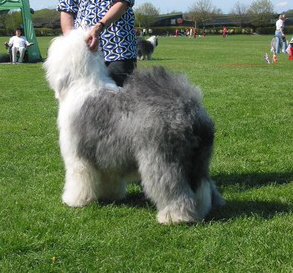 YCA9D0SH2CAVXZB1VCAZHMDRFCAAVSGN2CA9JIYTQCA0USIJNCAI0IH3UCAT6EKYDCA3D3LXPCATQT76FCAGXULS6CAO0F43QCAIIJ3OXCAKLKG1QCAUQOSVQCAIO8ZRVCA09DTBICA82491D