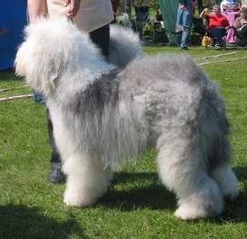 YCAAXAKTOCAYDIJA4CAVBSBHACAZ00UTDCASLM8YYCAV070VNCAADFLUJCAGD37E5CAE1S724CAPHPVOYCATWE0OZCA0NMR3VCA421FCGCAYUR7DYCAPLI2T7CAGEF92PCABVLT1YCAPGA0BM YCAAXAKTOCAYDIJA4CAVBSBHACAZ00UTDCASLM8YYCAV070VNCAADFLUJCAGD37E5CAE1S724CAPHPVOYCATWE0OZCA0NMR3VCA421FCGCAYUR7DYCAPLI2T7CAGEF92PCABVLT1YCAPGA0BM