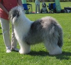 YCAIEOIA7CA7641S1CAWNN3GECAVGNVV9CAJ51MV8CAFSXG13CAP344X9CAQGB3QFCA2TXW3WCAV1VN3KCAAHHW4XCANM93JUCAE152CJCAT3IIC6CAVPYYH6CAGLYAIJCA7V9VNQCA2YIF63