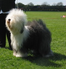 YCAQ894PQCAKNXP02CA2PDRW9CAWBOPHICAKY7HD5CA3P6CB3CA262HQJCAN0I1MXCAVMO924CA4UR2R5CA347YDZCAOYN6GNCAN0O3IGCAIJXDU6CA9040KKCAK5WU6RCAHN771ICAJLAZNZ