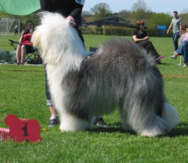 ZCA6XIZ0ICA4621F4CAE0ZMO0CAH6A581CAMX4SABCATREF8JCA6NVZTGCA4DLCEECA1ZZT8GCA7ZYQWKCANHNGYYCANTVMVWCA8G0ML8CAXAJ4DYCA7RR2OACA5NVXNLCAJO9ACYCA0OBDB0