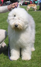 ZCAV1JQ2ICAZIVTQZCAWB243RCADH7UXECAW7EZHECAD4E3SDCA3QP3SOCAJIZXCPCAIOR3RCCAKJI7XLCA4ZTON6CAB0TLWVCAE55J7QCAHT2M0RCA49AIV1CAXFF4H0CAX9JXE3CAO44Y7C ZCAV1JQ2ICAZIVTQZCAWB243RCADH7UXECAW7EZHECAD4E3SDCA3QP3SOCAJIZXCPCAIOR3RCCAKJI7XLCA4ZTON6CAB0TLWVCAE55J7QCAHT2M0RCA49AIV1CAXFF4H0CAX9JXE3CAO44Y7C