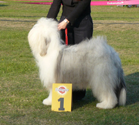 Zwischenklasse-H Zwischenklasse-H