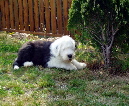 B%B4Surprise-13-weeks2