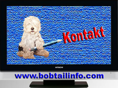 bobtailinfo Kopie