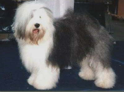 Insider aus dem Elbe-Urstromtal,