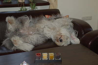 BlueimSeptember2007001