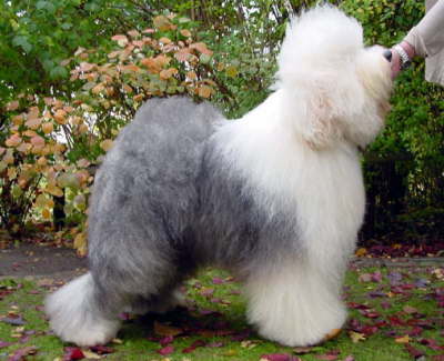 Zollfrei a.d. Elbe-Urstromtal