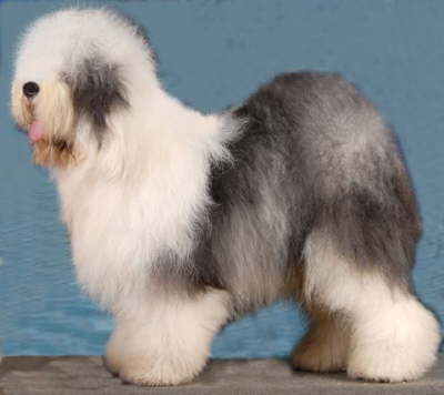 Eldorado aus dem Elbe-Urstromtal