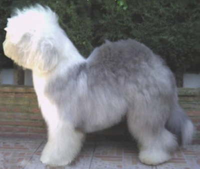 Et'Alors aus dem Elbe-Urstromtal