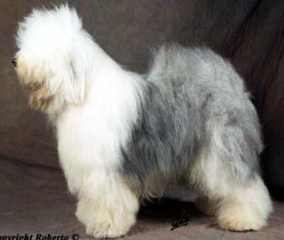 Excalibur aus dem Elbe-Urstromtal