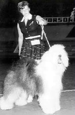 HOT DOG AUS DEM ELBE-URSTROMTAL