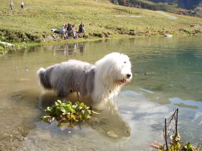 LandsbergerH�tte23