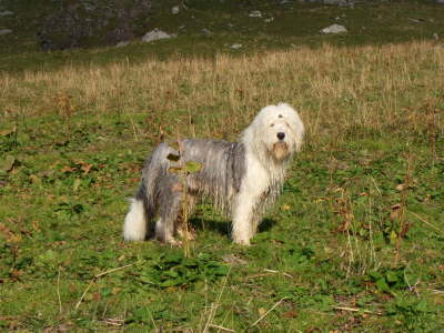 LandsbergerH�tte23