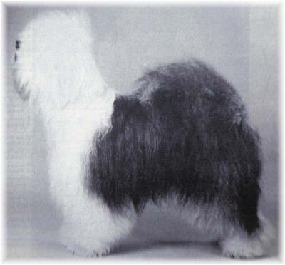 Lohengrin a.d. Elbe-Urstromtal