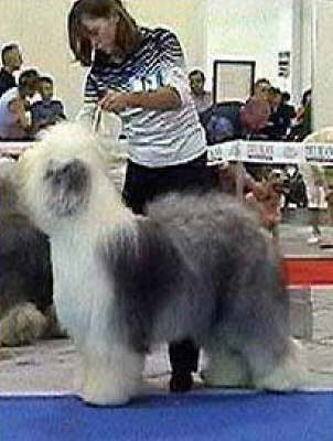 ZATOPEK AUS DEM ELBE-URSTROMTAL