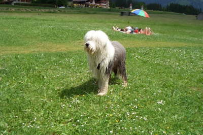 ZweiSeenLaufTannheimerTalJuni2007(309)