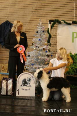 BIM-BOM-BAM IRIA FLAVIA