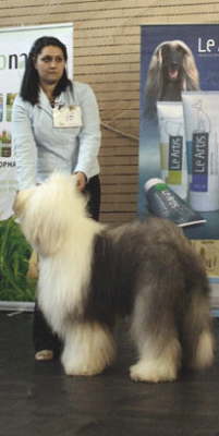 EMOTICON AUS DEM ELBE-URSTROMTAL