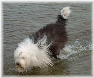 im ostssewasser k�ge 2