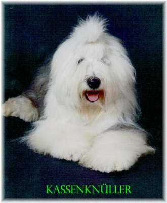 Kassenkn�ller a.d.Elbe-Urstromtal