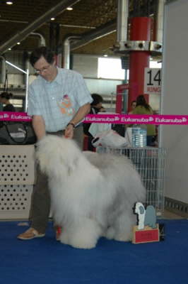 Ecstasy a.d. Elbe-Urstromtal