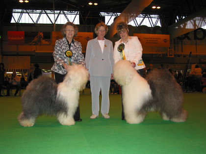 download50 download50