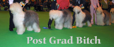 podt grad bitch podt grad bitch