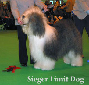 sieger limitdog