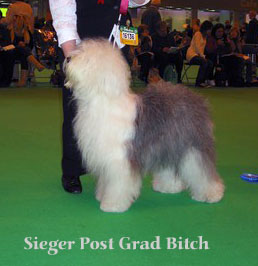 sieger postgradbitch