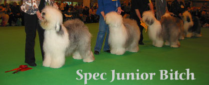 specjuniorbitch specjuniorbitch