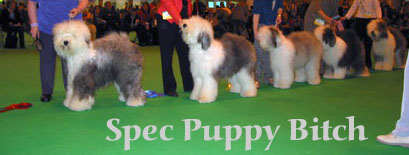 specpuppybitch specpuppybitch