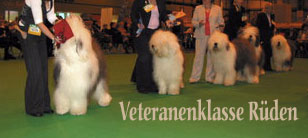 veteranenklasse r�den