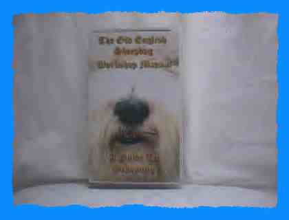 videobobtail-germany